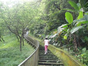 石門水庫健行(101.5.5) 石門水庫健行(101.5.5)