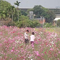 花婆婆(101.11.16)