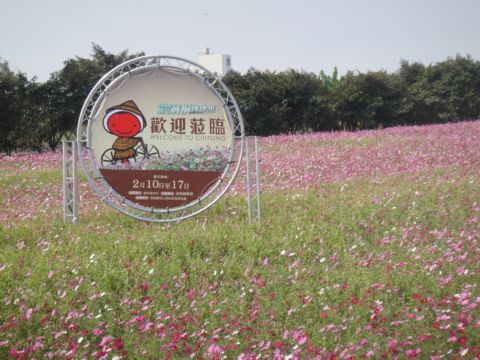 莿桐,孩沙里的美麗花田(102.2.9) 莿桐,孩沙里的美麗花田(102.2.9)