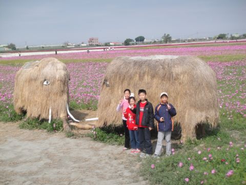 莿桐,孩沙里的美麗花田(102.2.9) 莿桐,孩沙里的美麗花田(102.2.9)