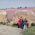 莿桐，孩沙里的美麗花田(102.2.9)