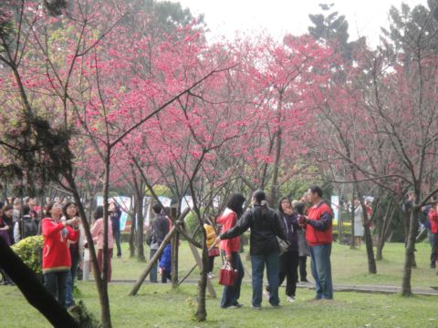 內湖，大溝溪親水步道+圓覺寺步道(102.2.16)