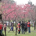 內湖，大溝溪親水步道+圓覺寺步道(102.2.16)