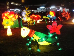 寒風中賞花燈(102.3.2) 寒風中賞花燈(102.3.2)
