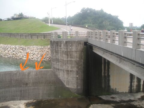 寶二水庫木棧道(102.4.28) 寶二水庫木棧道(102.4.28)