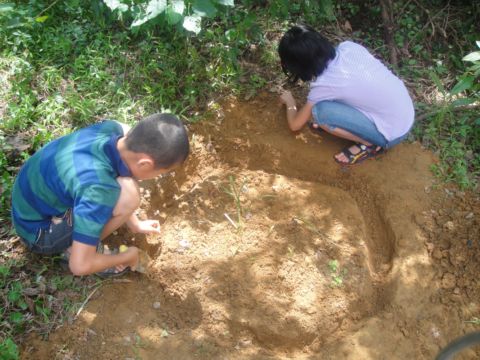 植物防治法(102.5.25)