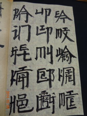 北美館~徐冰回顧展:寫天書(103.2.13) 北美館~徐冰回顧展:寫天書(103.2.13)