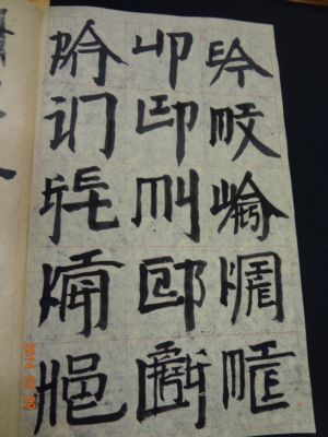 北美館~徐冰回顧展：寫天書(103.2.13)