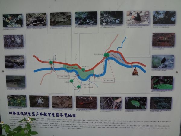 關西,四寮溪生態步道(103.4.8) 關西,四寮溪生態步道(103.4.8)