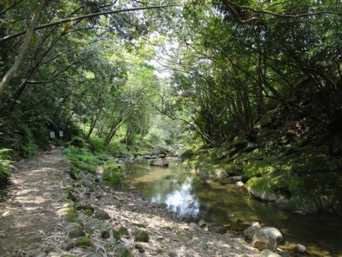 關西，四寮溪生態步道(103.4.8)