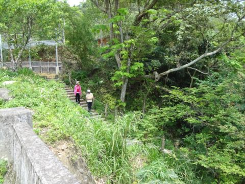 關西,四寮溪生態步道(103.4.8) 關西,四寮溪生態步道(103.4.8)