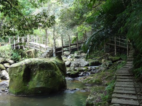關西,四寮溪生態步道(103.4.8) 關西,四寮溪生態步道(103.4.8)