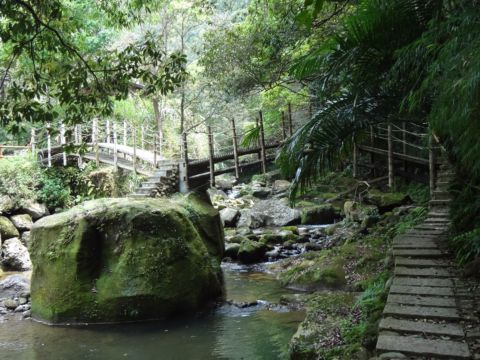 關西，四寮溪生態步道(103.4.8)