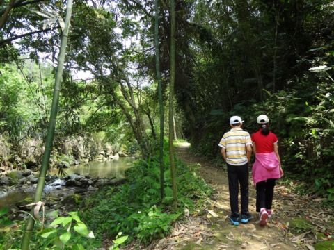 關西,四寮溪生態步道(103.4.8) 關西,四寮溪生態步道(103.4.8)