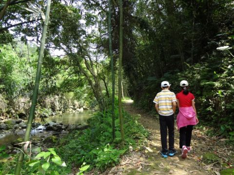 關西，四寮溪生態步道(103.4.8)