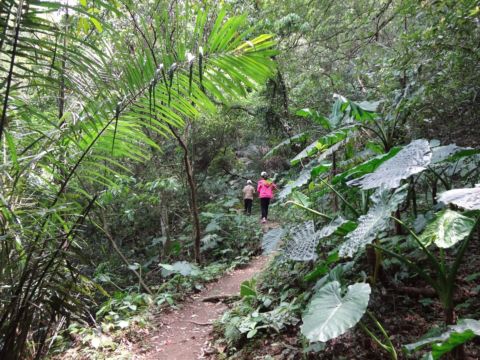 關西，四寮溪生態步道(103.4.8)