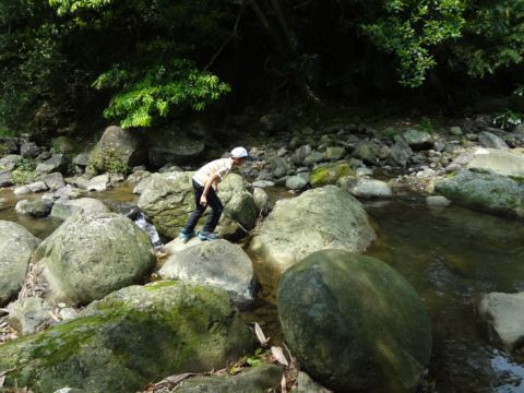 關西,四寮溪生態步道(103.4.8) 關西,四寮溪生態步道(103.4.8)