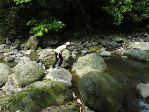 關西，四寮溪生態步道(103.4.8)