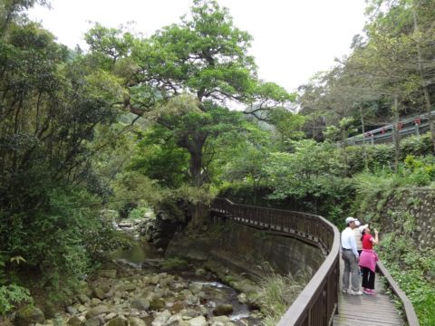 關西，四寮溪生態步道(103.4.8)