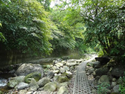 關西,四寮溪生態步道(103.4.8) 關西,四寮溪生態步道(103.4.8)