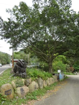 關西,四寮溪生態步道(103.4.8) 關西,四寮溪生態步道(103.4.8)