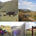 陽明山擎天崗環形步道(104.1.3)