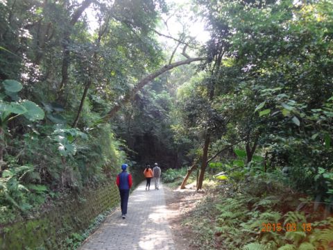 寶山水庫環湖步道。健走(104.3.15)