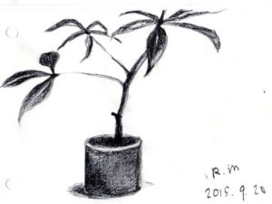 [七年級] 103 的美勞課(104.11.29)