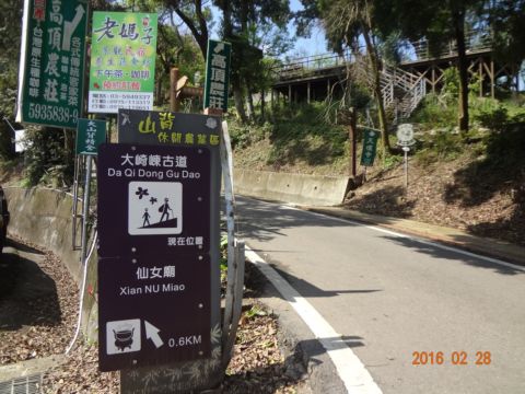 橫山。大崎崠古道(105.2.28)