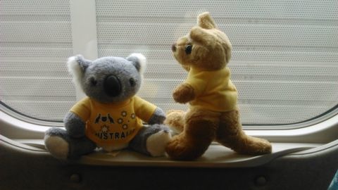 [七年級]表達自己的意見(105.3.8)