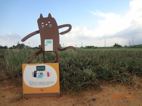 民雄旺萊山 + 聽音樂會(105.7.29)