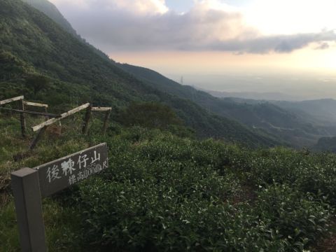 古坑 ~ 樟湖生態國中小學 + 後棟仔山(105.8.3)