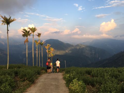 古坑 ~ 樟湖生態國中小學 + 後棟仔山(105.8.3)