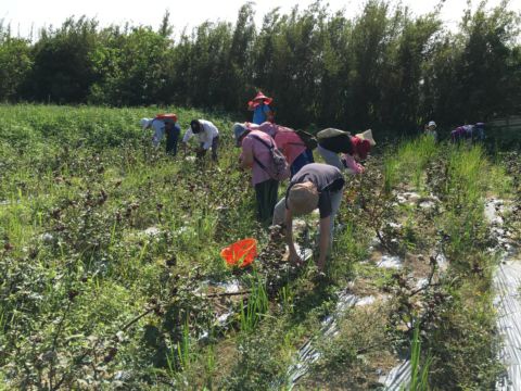 令人感動的產地之旅(105.10.30)