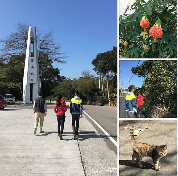 元旦，寶山水庫健走(107.1.1)