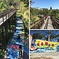 六塘落雨松+十二寮天主堂+峨眉湖步道(107.1.2)