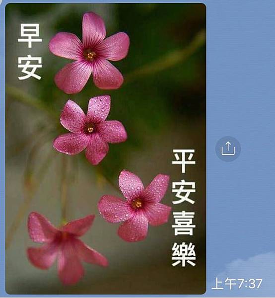 從〝長輩圖〞說起(107.1.30) 從〝長輩圖〞說起(107.1.30)
