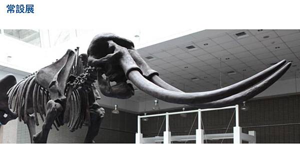 [九年級] 圖書館志工日 ~ 作文十字訣(107.4.23)