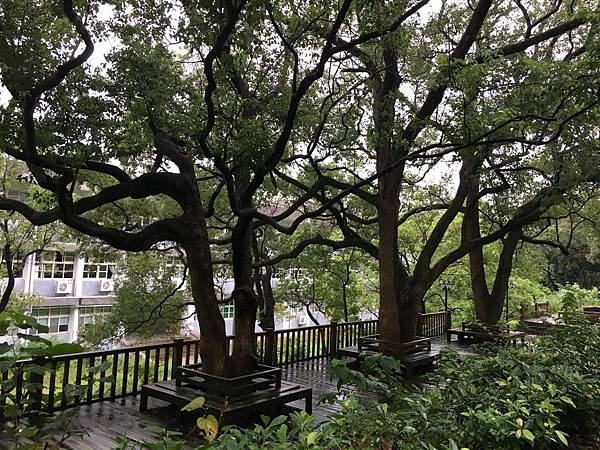 [小高一] 多元選修 ~全方位城市閱讀(107.10.7)