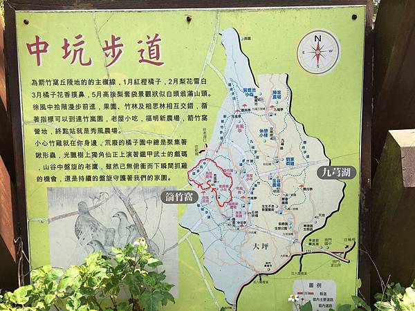寒假第一天的健行 ~ 新埔箭竹窩中坑步道(108.1.19) 寒假第一天的健行 ~ 新埔箭竹窩中坑步道(108.1.19)