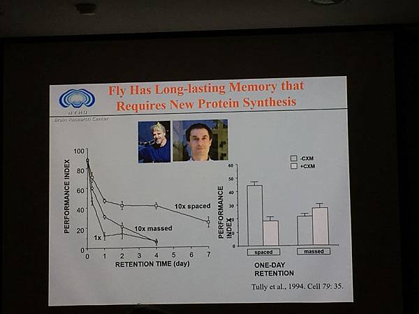 長期記憶的研究進展(108.5.26)