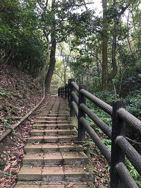 健行趣 ~ 十八尖山+高峰植物園(109.3.23)