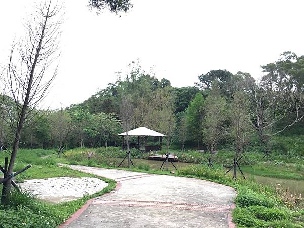 健行趣 青青草原(109.3.30) 健行趣 青青草原(109.3.30)