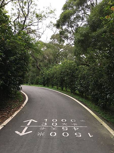 健行趣 青青草原(109.3.30)