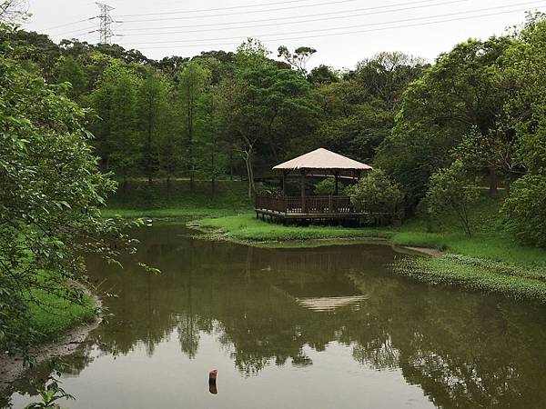 健行趣 青青草原(109.3.30) 健行趣 青青草原(109.3.30)