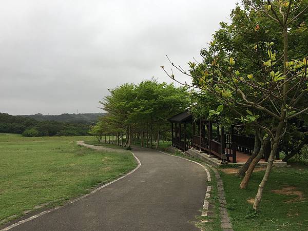 健行趣 青青草原(109.3.30) 健行趣 青青草原(109.3.30)