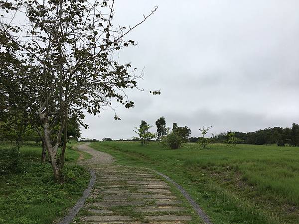 健行趣 青青草原(109.3.30) 健行趣 青青草原(109.3.30)