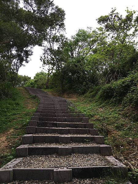 健行趣 青青草原(109.3.30)