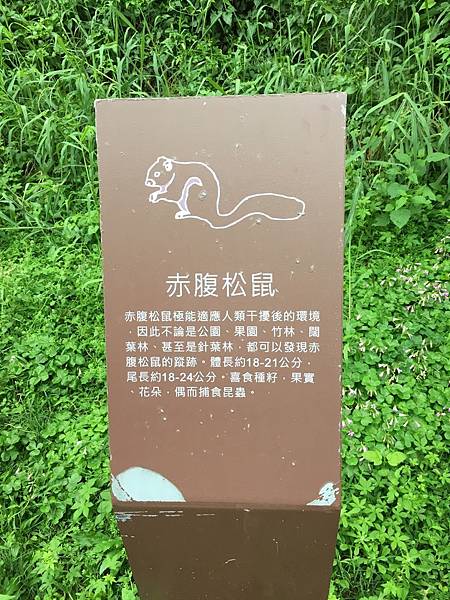 健行趣 青青草原(109.3.30) 健行趣 青青草原(109.3.30)