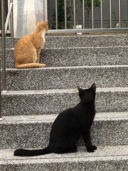 千金難買早知道(109.4.25)